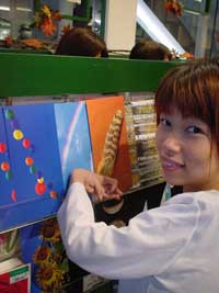 �ǂ�ȃJ�[�h�ɂ��悤����